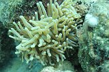 Curacao 04-12 054